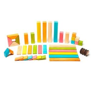 EUC Tegu Magnetic Blocks- Set of 42